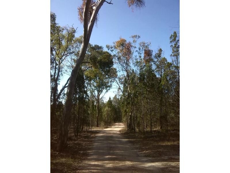 104 Jones Road, Severnlea QLD 4380