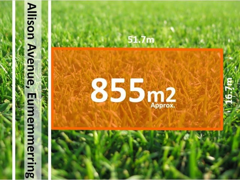 19 Allison Avenue, Eumemmerring VIC 3177