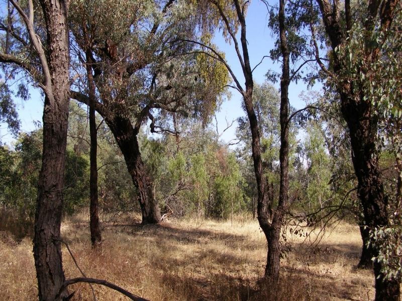 Lot 1 Asbury Road, Lurg VIC 3673