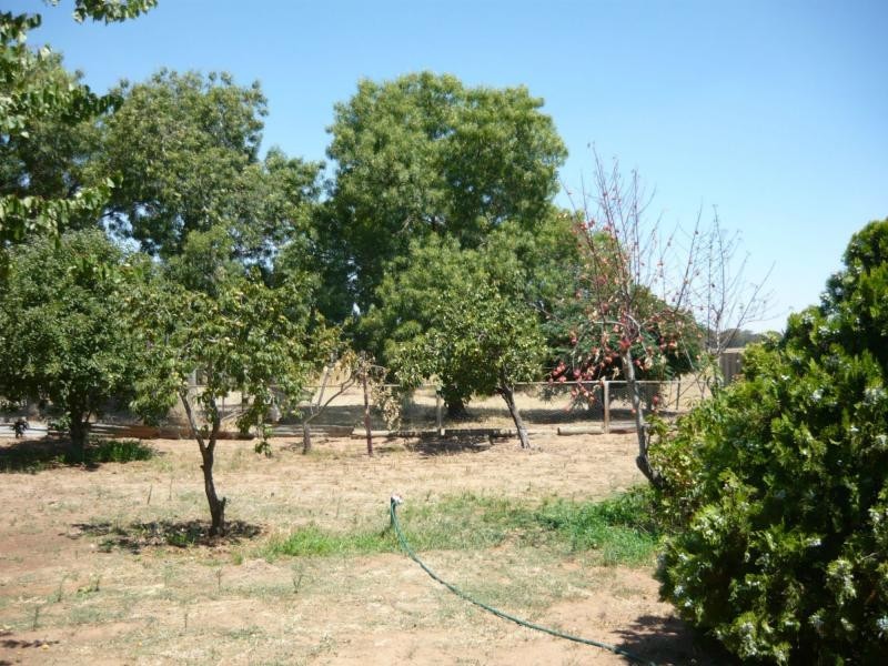 563 Evans Road, Waggarandall, Benalla VIC 3672