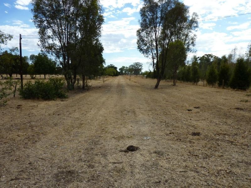 369 Kilfeera Road, Benalla VIC 3672