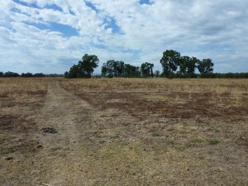 369 Kilfeera Road, Benalla VIC 3672