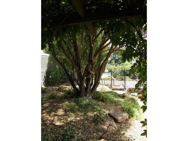 5 Benalla Street, Benalla VIC 3672