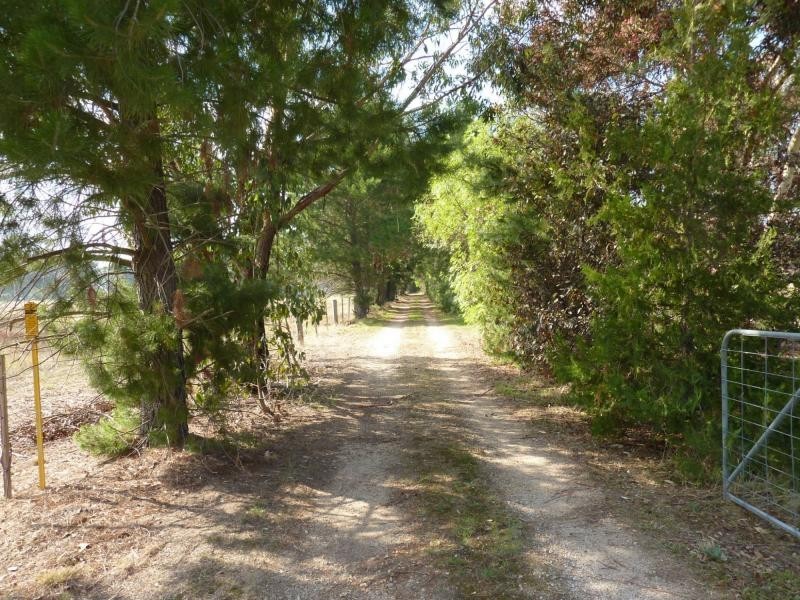 310 Goomalibee Road, Benalla VIC 3672