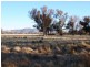 L1 Leos Road, Violet Town VIC 3669