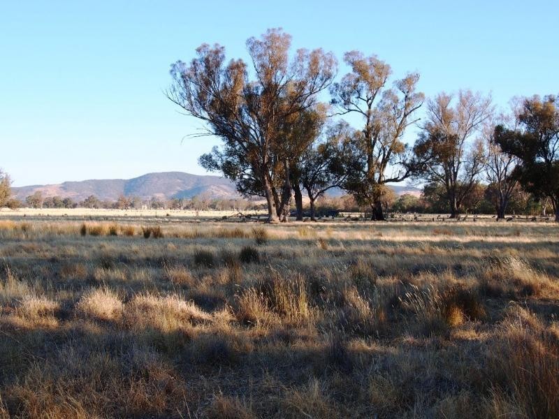 L1 Leos Road, Violet Town VIC 3669