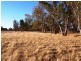 L1 Leos Road, Violet Town VIC 3669