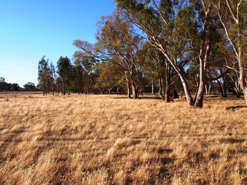 L1 Leos Road, Violet Town VIC 3669