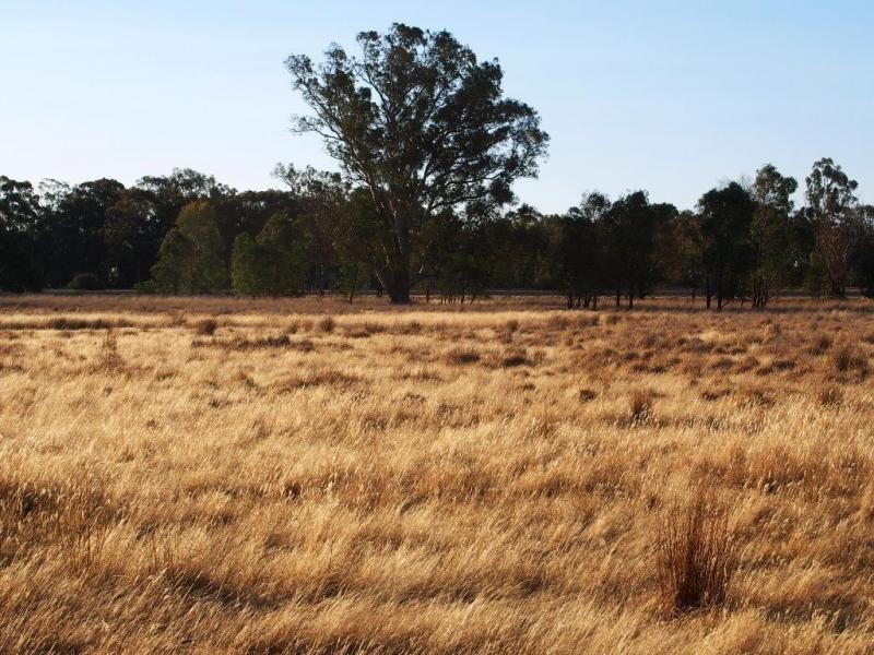 L1 Leos Road, Violet Town VIC 3669