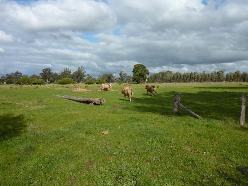 50 Cemetery Road, Benalla VIC 3672