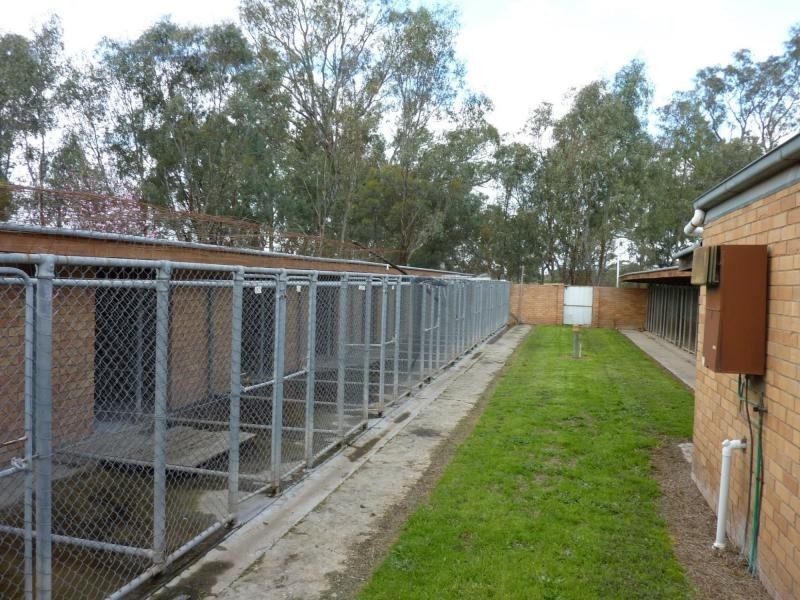 50 Cemetery Road, Benalla VIC 3672