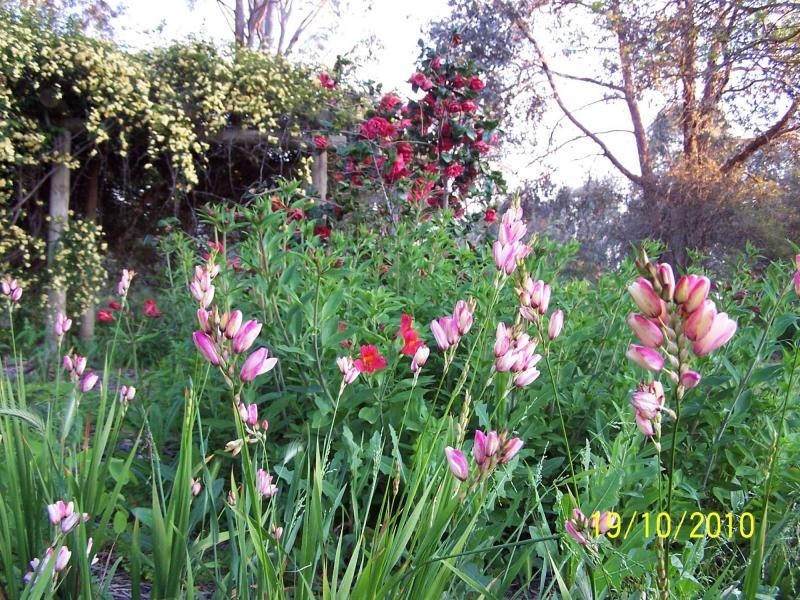 181 Racecourse Road, Benalla VIC 3672