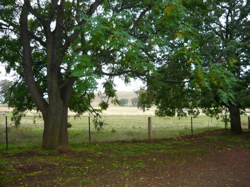 Boorinda Major Plains Road, Dookie VIC 3646