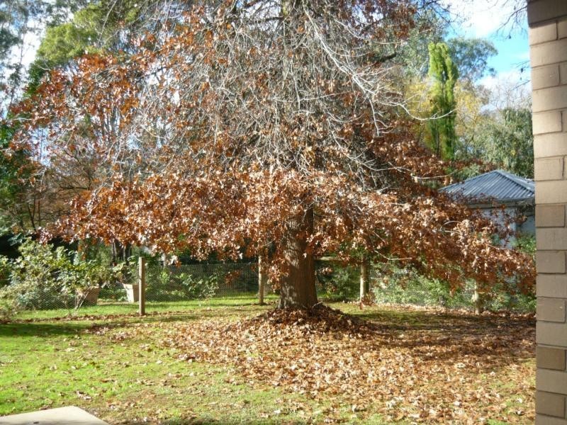 131 Arundel Street, Benalla VIC 3672