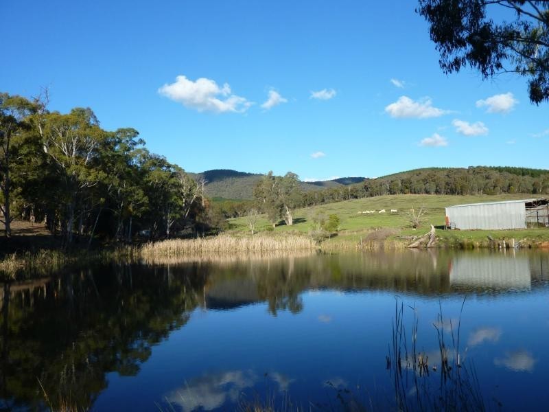 Lot 1 Jones Road, Tatong VIC 3673