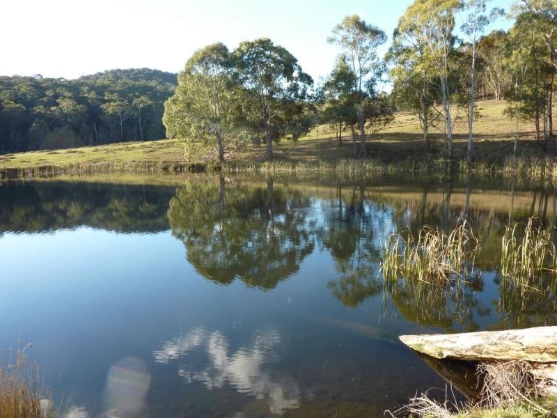 Lot 1 Jones Road, Tatong VIC 3673