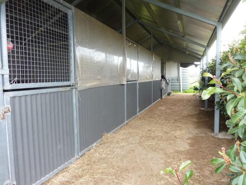 484 Baddaginnie-Benalla Road, Benalla VIC 3672