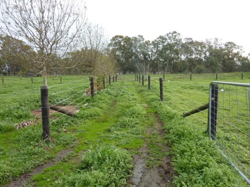 484 Baddaginnie-Benalla Road, Benalla VIC 3672