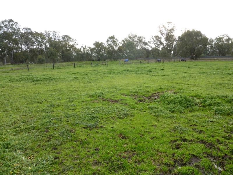 484 Baddaginnie-Benalla Road, Benalla VIC 3672