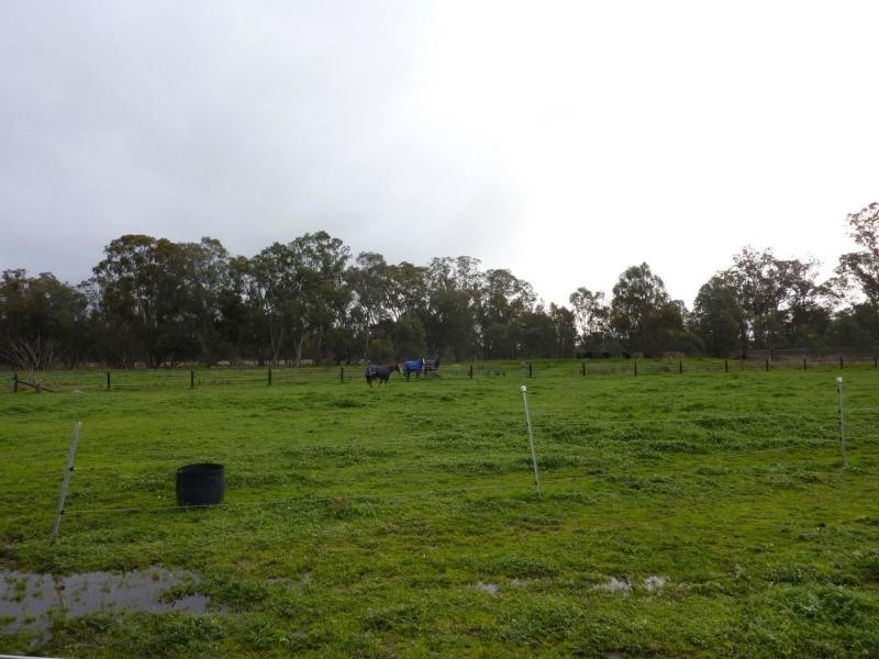 484 Baddaginnie-Benalla Road, Benalla VIC 3672