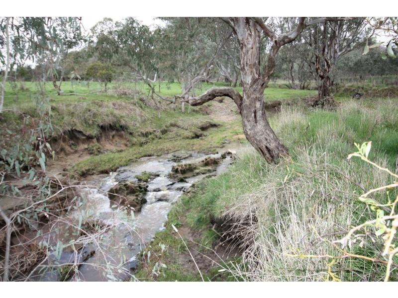 35 Harrison Road, Warrenbayne VIC 3670