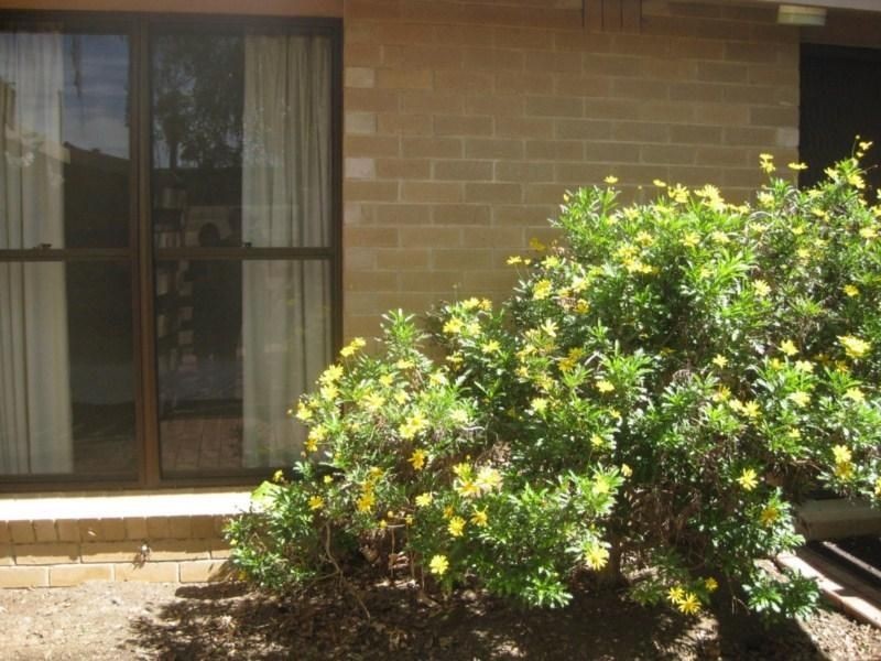 2/13B Melrose Street, Benalla VIC 3672