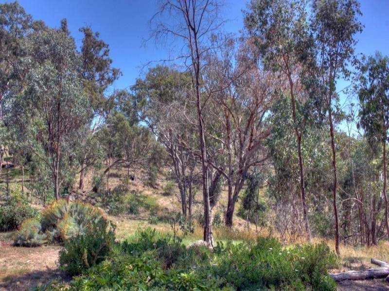 316 Upper Boho Road, Boho VIC 3669