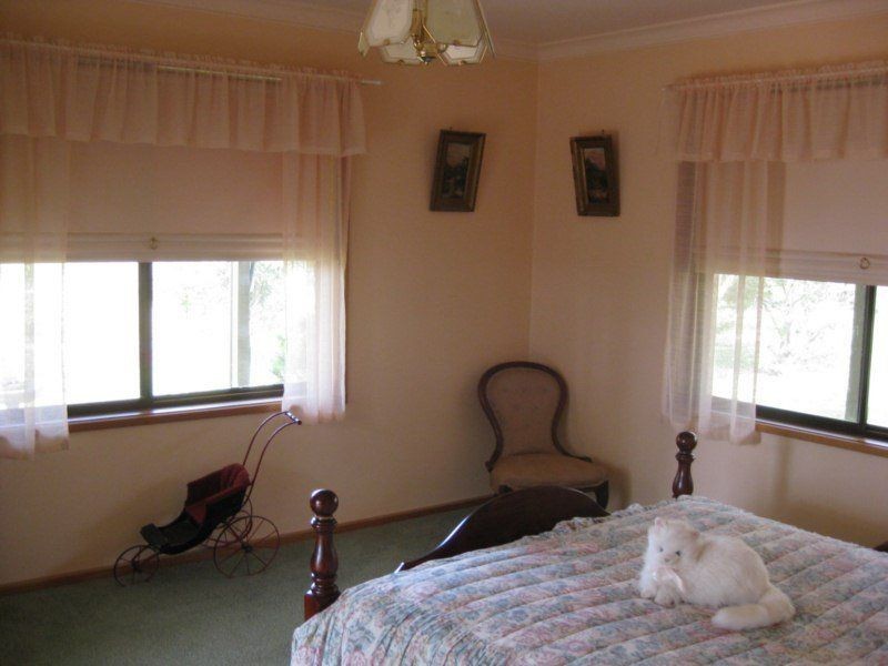 899 Baddaginnie Goomalibee Road, Tarnook VIC 3670