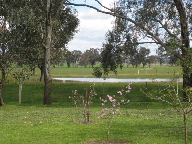 899 Baddaginnie Goomalibee Road, Tarnook VIC 3670