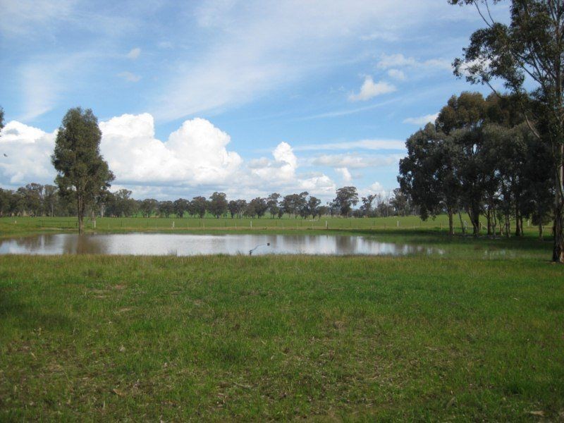 899 Baddaginnie Goomalibee Road, Tarnook VIC 3670