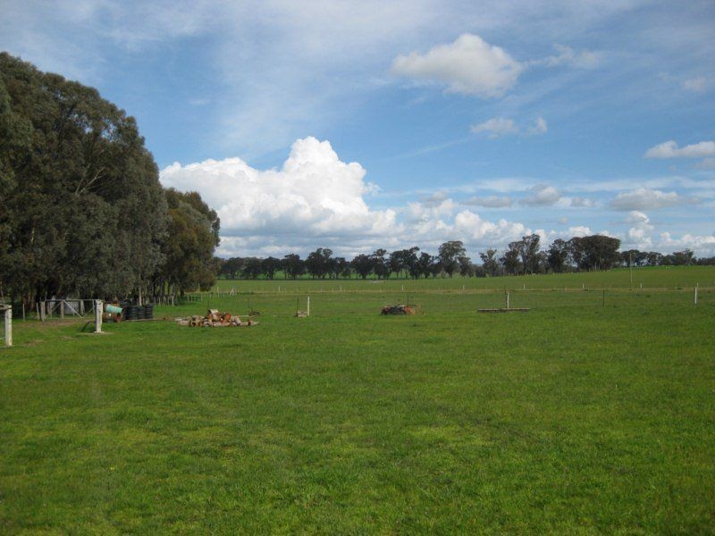 899 Baddaginnie Goomalibee Road, Tarnook VIC 3670