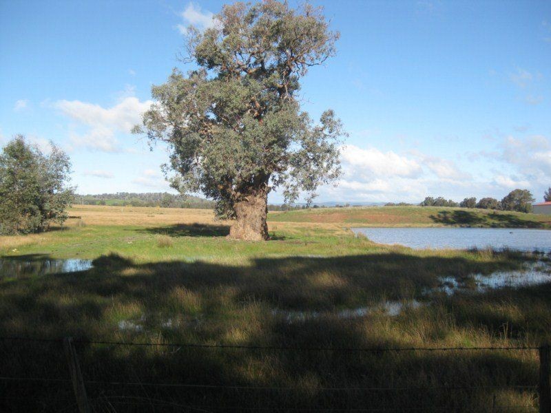 262 Kennedy Lane, Benalla VIC 3672