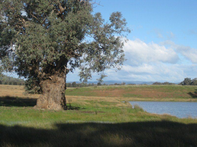 262 Kennedy Lane, Benalla VIC 3672