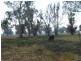 Cnr Shepparton & Goomalibee Road, Goomalibee VIC 3673