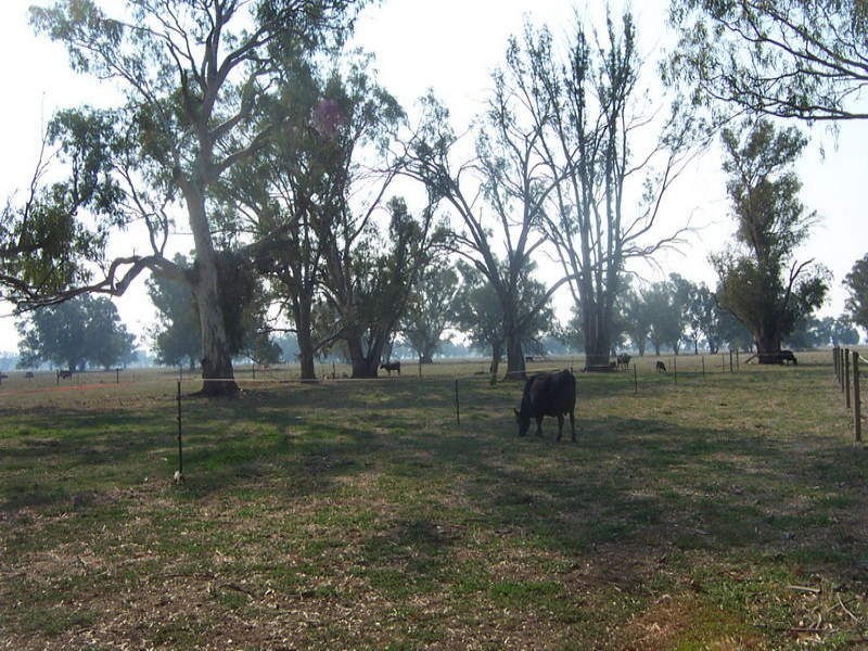 Cnr Shepparton & Goomalibee Road, Goomalibee VIC 3673