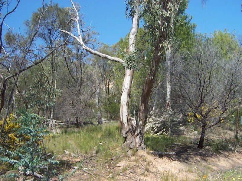 115 Mt Bruno Road, Mount Bruno VIC 3675