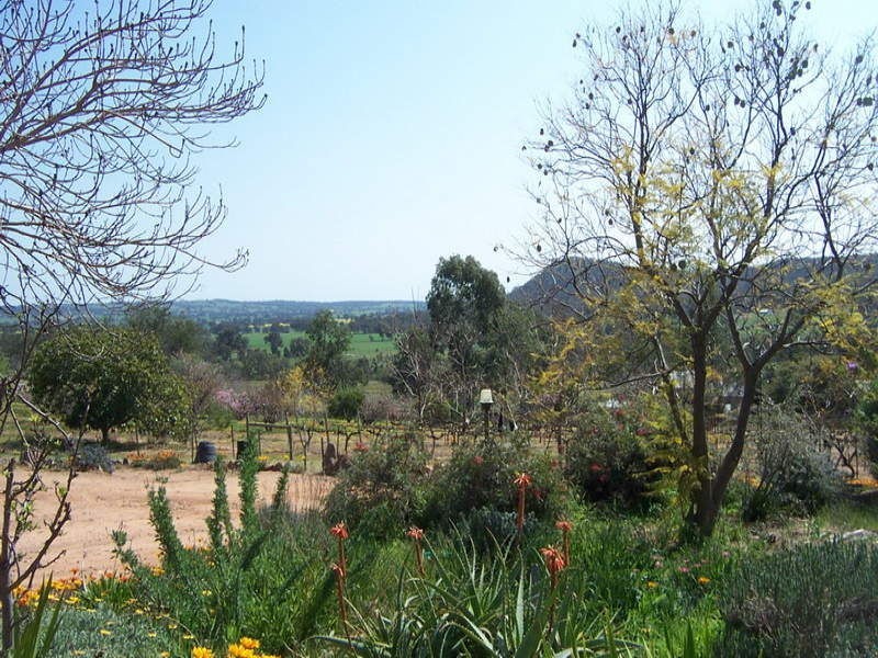 115 Mt Bruno Road, Mount Bruno VIC 3675