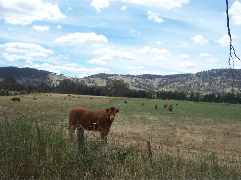 11 Davies Road, Warrenbayne VIC 3670