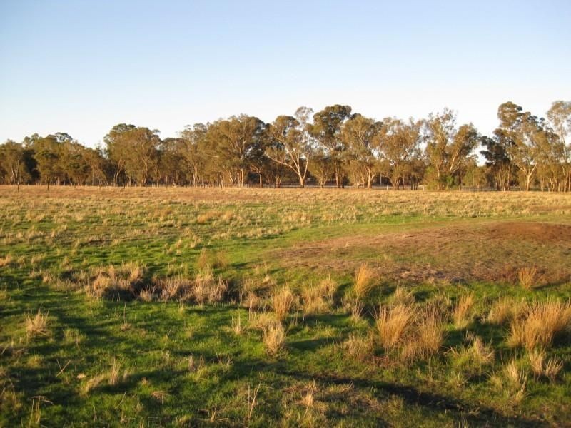 * Warrenbayne Road, Warrenbayne VIC 3670