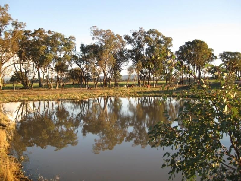 * Warrenbayne Road, Warrenbayne VIC 3670