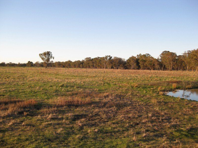 * Warrenbayne Road, Warrenbayne VIC 3670