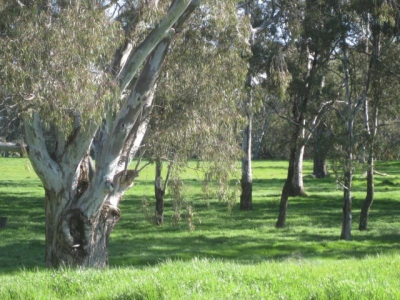 417 Karn Road, Benalla VIC 3672