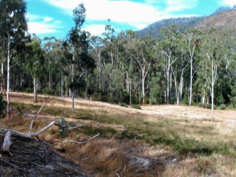 52 Jones Road, Tatong VIC 3673