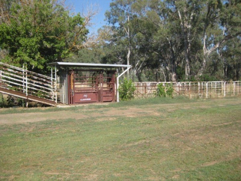 125 Baddaginnie Benalla Road, Benalla VIC 3672