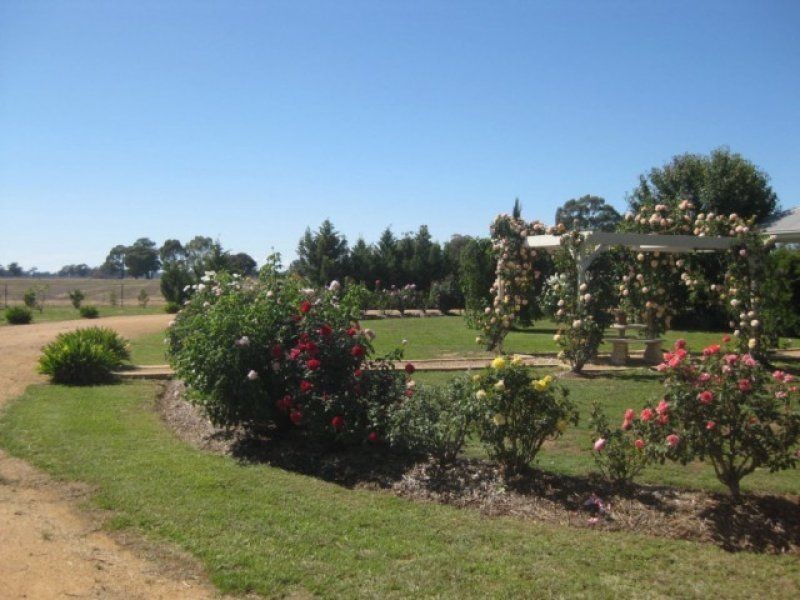 191 Yundool Road, St James, Benalla VIC 3672