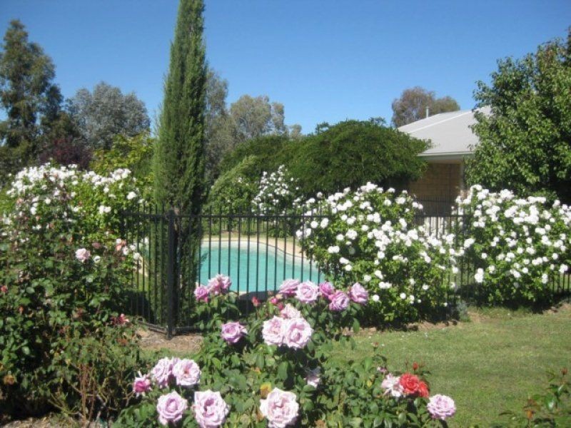 191 Yundool Road, St James, Benalla VIC 3672