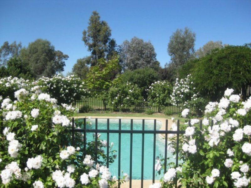 191 Yundool Road, St James, Benalla VIC 3672