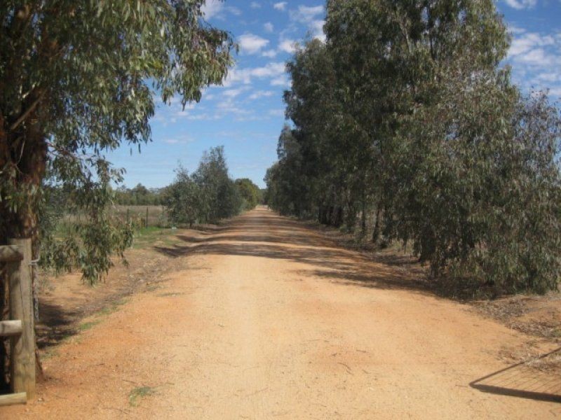 191 Yundool Road, St James, Benalla VIC 3672