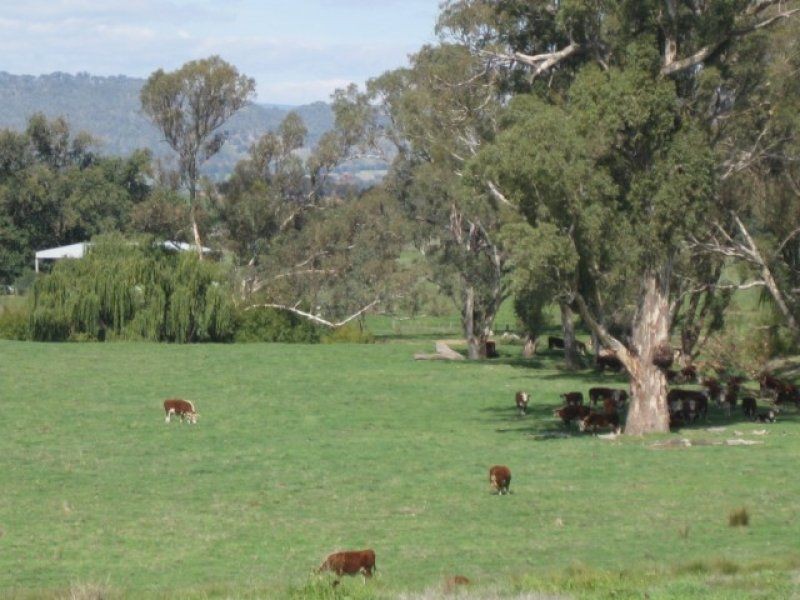 1412 Kilfeera Road, Molyullah VIC 3673