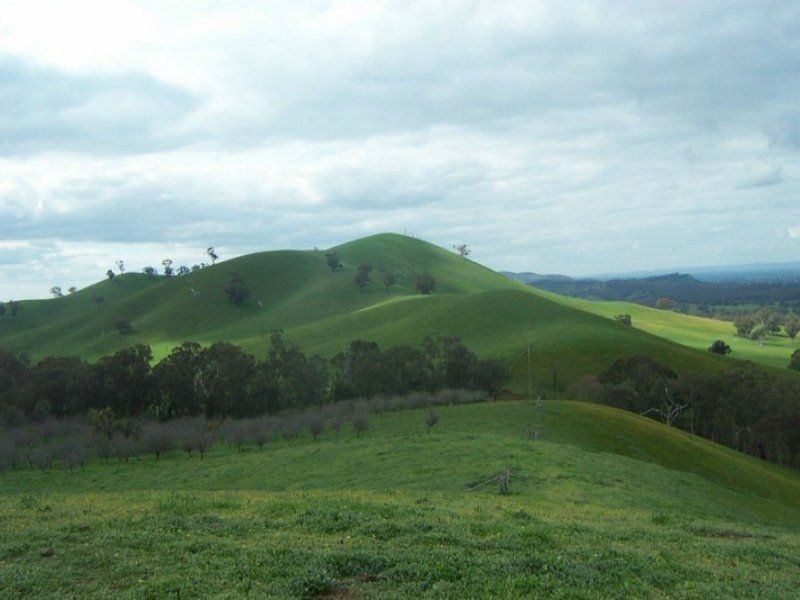 446 Embling Road, Upper Lurg VIC 3673